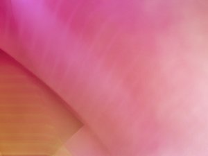 数据库查询缓存：启用与禁用的决策